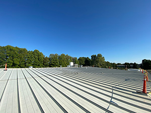 Metal Roof Repair Services